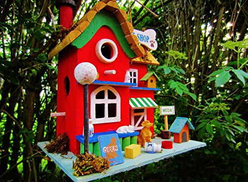 Hüwüknü, Vogelhaus, Tierpension - 2