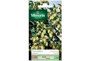 Vilmorin - Sachet graines Houblon du Japon