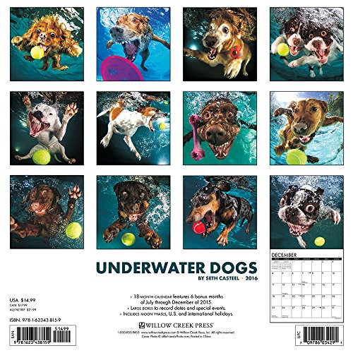 Underwater Dogs Calendar