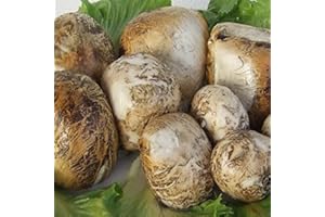 CASEIFICIO SANTA RITA Pieces of Smoked Bufala 500 g