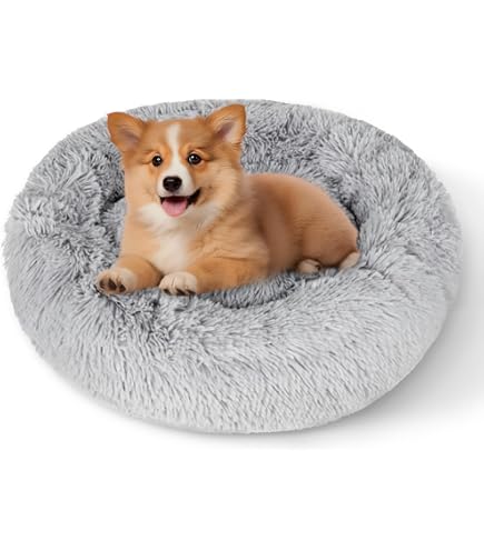 Extra Kleines Hundebett Für Transportbox (55,9 Cm) | Superweicher Plüsch, Waschbar & Rutschfest | In Lila & Anderen Farben