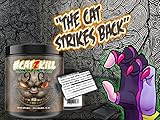BPSpharma # CATZKILL Paranoia By Not4Pussy Most Hardcore PreWorkout Booster Trainingsbooster Bodybuilding - 245g (Sunshine Orange - Orange) - 
