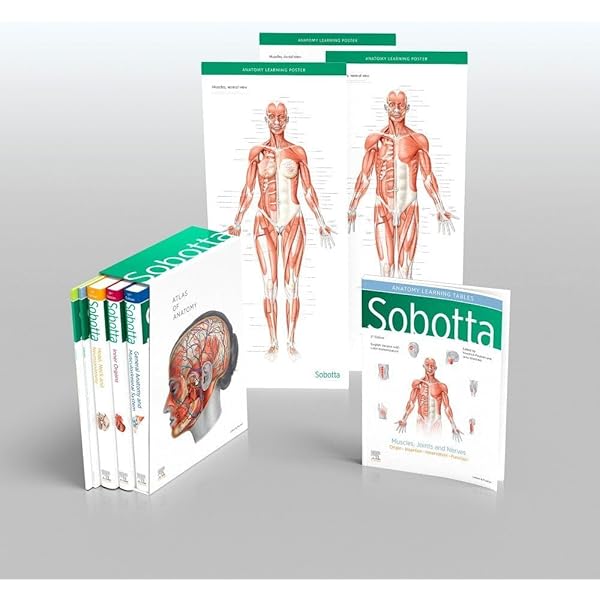 健康・医学 Sobotta Malbuch Anatomie Sobotta Malbuch Anatomie - 9783437412646