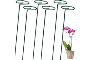 OAHAO 6 Pack Plant Stakes for Flowers, Metal Single Stem Plant Support, Plant Cage Support Ring with 10 pcs Plant Clips for Climbing Plants Garden Stakes for Amaryllis Orchid Lily Rose Tomatoes(60cm)