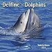Delfine - T & C-Kalender 2011 by
