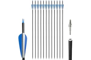 GENERIC 12pcs Arrows 31-inches Fiberglass Arrows,Archery Target Practice Arrow spine 500 for Beginner's Recurve Bow