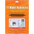 BHAKTI SHRINGAR Rudraksha Brown Certificate Lab Test & X-ray Report with Silver Capping| Rudraksha Pendant for Men & Women, 11 Mukhi, Rudraksha