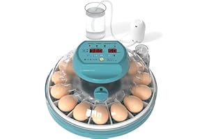 FAR AHEAD Intelligent Egg Incubator, Automatic Egg Turner with Temperature and Humidity Control - 360 Degree View, 15 Eggs Incubator for Hatching Eggs&Quail Egg, With Clear Window (15 eggs)