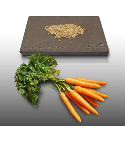 Graines De Carotte Rothild Caillard - Jardiland