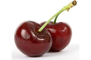 PRETTY WILD SEEDS Prunus Avium Wild Cherry Tree 10 Seeds Attractive Native Tree with Beautiful Clouds of Blossom in Spring