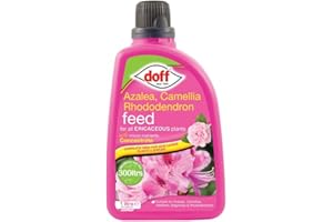 Doff Azalea Camellia Rhododendron Ericaceous Feed Food Fertiliser 1L