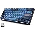 RK ROYAL KLUDGE RK61 Plus Mechanical Keyboard, 60% RGB Gaming Keyboard US Layout with USB Hub, Bluetooth/2.4Ghz/Wired RGB Hot Swappable PC Keyboard for Win/Mac/Android, Red Switch, Blue