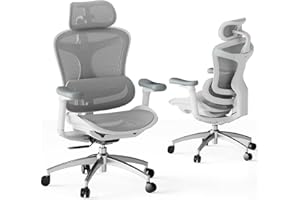 SIHOO Doro C300 Ergonomic Office Chair with Ultra Soft 3D Armrests, Dynamic Lumbar Support for Home Office Chair, Adjustable Backrest Desk Chair (White)