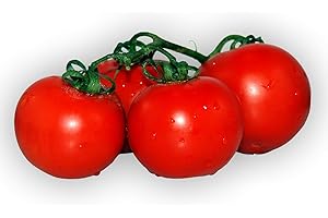 LIEFERFRUCHT Strauchtomaten frisch und schnittfest, 1 kg Packung