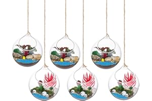 GLASSEAM Plantas Colgantes de Aire 6 Piezas Portavelas de 4.72 Inches Cristal Terrario Portavelas Contenedores de Plantas de Vidrio para el Diseño de Bricolaje de Jardín de Bodas en Casa