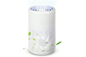 TANGHSE Air Purifier for Bedroom - Portable Air Cleaner with HEPA Filter & Aromatherapy, Silent Smoke Remover for Pet Dander Dust Pollen Odor, USB Power HEPA Air Purifier for Home Office