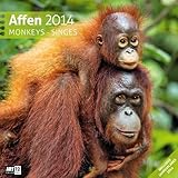 Affen 2014 Art12 Collection by 