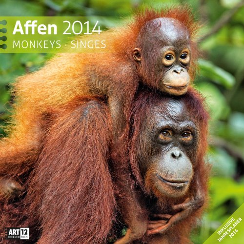 Affen 2014 Art12 Collection