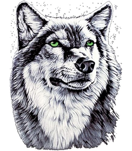 4 Pièces /set De Patchs De Transfert À Repasser Diy Pour T-shirts