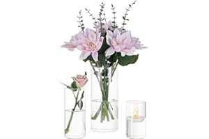 Cilindro Vaso Per Fiori In Vetro Trasparente, 3 Pezzi/Set Glasseam Modern Basic Vasi Per La Decorazione Della Tavola Centrotavola Matrimoni Fiori Rose Pampa Per Soggiorno Ornamenti, 10/15/20 Cm Alto