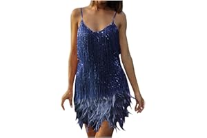 HAOLEI Mini Dress Women 1920s Flapper Fringe Dress Vintage Dance Dress V Neck Roaring Fancy Sequin Dress Cocktail Party Dress Tassels Ballroom Salsa Samba Tango Latin Dance Dress