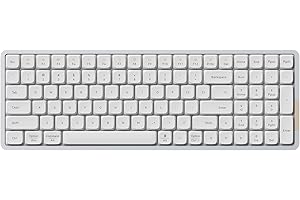 LOFREE Flow Low Profile Mechanical Keyboard, 100 Keys Rechargeable Wireless Keyboards with Bluetooth and Wired Connection for Windows, Mac OS/White Ghost Linear Switches US Layout