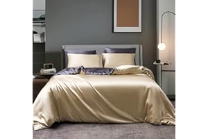 ‎BOQINGZHU Boqingzhu Satin Bettwäsche 135x200 cm Gold Beige Grau Anthrazit Seide Glanzsatin Bettwäsche Set Luxus Glatt Glänzend Wendebettwäsche Set 2Teilig Bettbezug und Kissenbezug 80x80cm