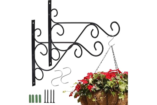 CYH 2 Pièces Support Plante Mural Balcon, Crochet de Suspension en Fer Forgé, Crochets Suspension de Plante avec Vis, pour Jardin Balcon Lanterne Plants Déco avec 2 Crochets en Forme S
