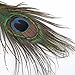 Museya 50pcs 25-30cm Beautiful Natural Peacock Tail Feathers Eyes Feathers Decorations for Craft /Art /Dress /Hats /Bridal Costume /Party