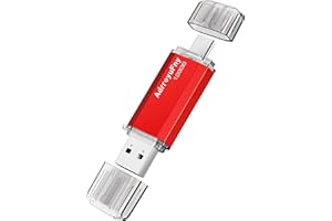 AdrreyuFny Memoria USB 128 GB USB C Pendrive 128 Gigas OTG 2 en 1 Tipo C Flash Drive Portátil Pen Drive Mini Stick USB 2.0 Key para Smartphones/Tabletas/PC