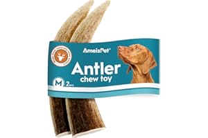 AmeizPet Cane Masticatore Di Corna, Corna Di Cervo, Osso Per Cani Di Piccola E Grande Taglia, Giocattoli Per Cani Di Lunga Durata, Osso Di Cervo - Taglia M Corna Di Cervo 2 Pezzi