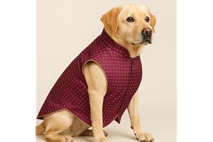 Maroon Dog Sherwani for Weddings & Festivals Designer Indian Ethnic Wear for Pets Traditional Kurta Outfit for Dogs Comfortable Premium Fabric Festive Jacket for All Breed Size (XXL)