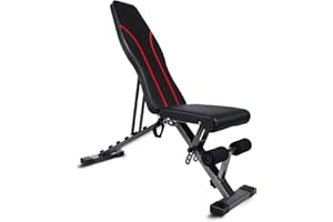 YSSOA Training Weight Bench, Adjustable Strength Training Bench for Full Body Workout Multi-Purpose Foldable incline/decline Bench, Max Load 250KG, Red+Black