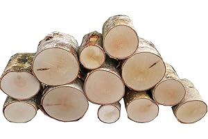 RESERVOIR LOGS The Little Box of Decorative Birch Logs 12cm Kiln Dried Full Round Display Logs Fine Sawn Ends