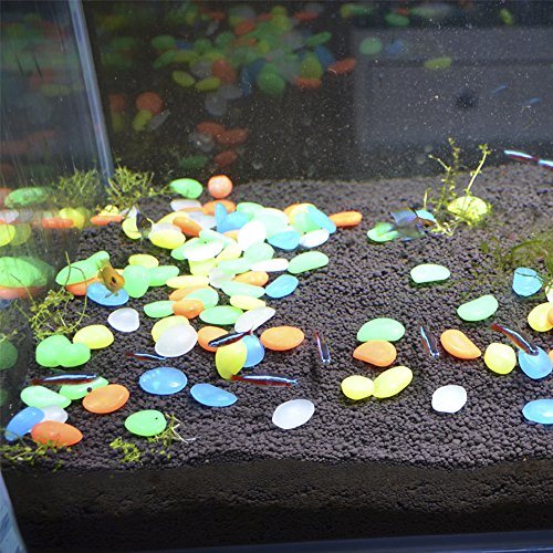 100 Stück Leuchtsteine nachtleuchtende Steine leuchtende Kiesel Aquarium Garten Deko - 5