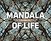 Produktbild Mandala of Life: Die psychedelische Fotokunst von Harry C. Cane