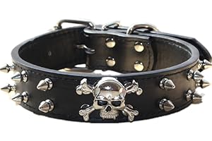haoyueer kolczasta skórzana obroża dla psa - 2 rzędy nity nabój ze skóry PU - fajne akcesoria dla zwierząt domowych dla średnich i dużych psów ... (M, czarny)