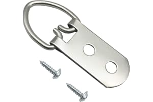 EesTeck 20 Pack D-Ring Steel Picture Hangers Heavy Duty with Screws Picture Frames Double Holes Clasp Picture Hang Solutions, for Hanging Clock Paintings Artwork Picture Frame Hook Photos Mirrors