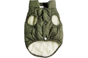 JoyDaog Chaqueta de perro súper cálida con forro polar de 2 capas para invierno frío, chaleco extra suave para cachorros a prueba de viento, verde M
