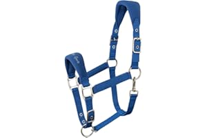 AK RIDING SPORTS AK Licol pour Cheval Doux et Rembourré Confort Supérieur avec Rembourrage, Sangles Réglables à la Muserolle et à la Nuque Licol Doux, Résistant et Sécurisé pour Chevaux 6070 (Bleu Royal, Full/ (L))