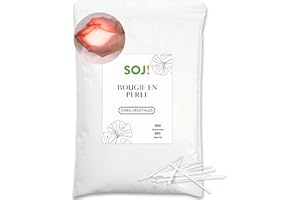 SOJ - Kit cire de bougie perlée, Réalisez des bougies en perle de cire, Cire pour bougies sablées, kit de fabrication avec des mèches - Fabriquez vos bougies en poudre 100% Végétale - 950g