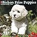 Produktbild Bichon Frise Puppies 2019 Wall Calendar (Dog Breed Calendar)