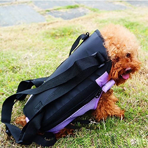 puppy kangaroo pouch