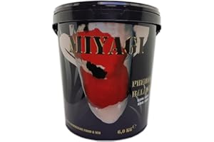 Takazumi MANGIME Estivo Colore Crescita Carpe Koi Pesci Rossi Premier Balance 2 kg 6 MM