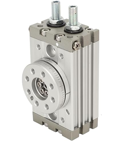 63mm Roterend Rek en Cilinder van de Pignon de Pneumatische Lucht, Roterende Hoek 180