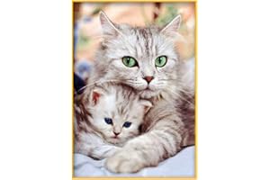 DCIDBEI Kits de Broderie Diamant 5D pour Adultes et Enfants DIY Complet de Peinture Diamant Chat Peintures Diamantées par Numéros Kits de Point de Croix Puzzles Maison Décoration Murale 30 x 40 cm