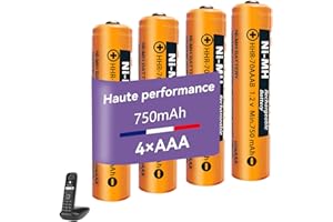 ZZWJBCYLE Lot de 4 Piles Rechargeables NIMH (1,2V) 750 mAh pour téléphone sans Fil Gigaset, AAA/Micro Batteries Rechargeables pour Panosonic