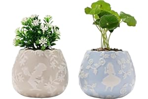 WIDDOP AND CO Disney Alice In Wonderland Set Of 2 Mini Planters With Faux Plants