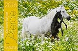 Die weite Welt der Pferde 2016 by
