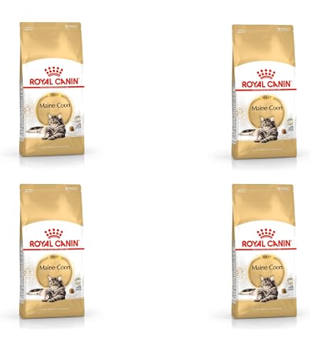 Royal Canin Maine Coon Trockenfutter fr Katzen, 12 kg, Erwachsene :  Amazon.de: Haustier